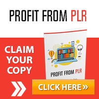 Profit from PLR – Video Series