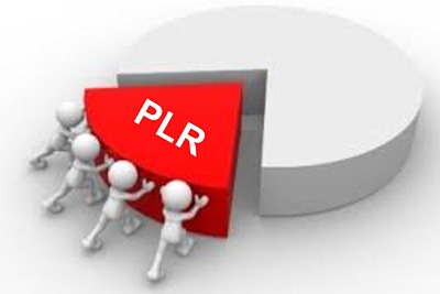 3,00,000 PLR articles Package