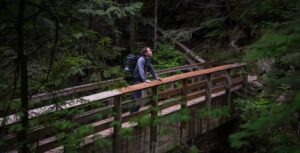 Read more about the article Why Travel PLR Content Is a Goldmine for Bloggers