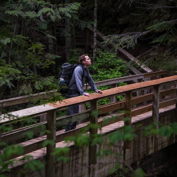 Why Travel PLR Content Is a Goldmine for Bloggers