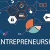 230 Entrepreneurship PLR articles