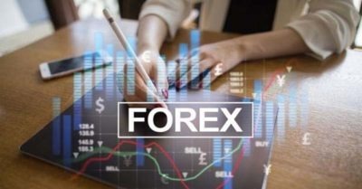 600 Forex and Forex Trading PLR articles