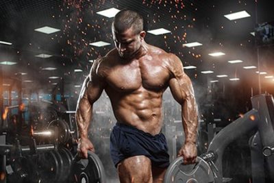 1200 Bodybuilding and Supplements PLR articles