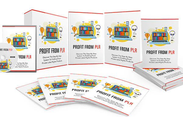 Profit from PLR – Video Series