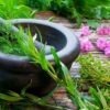 140 Medicinal Herbs PLR articles
