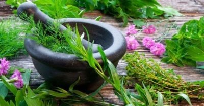 140 Medicinal Herbs PLR articles