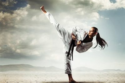 600 Martial Arts PLR Articles