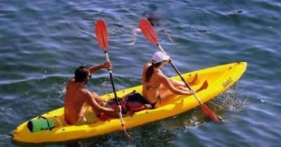 240 Water Sports PLR articles